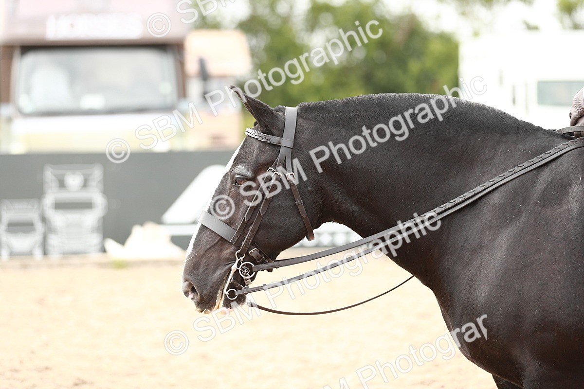 SBM_16753 - Class 214 Ridden Cob