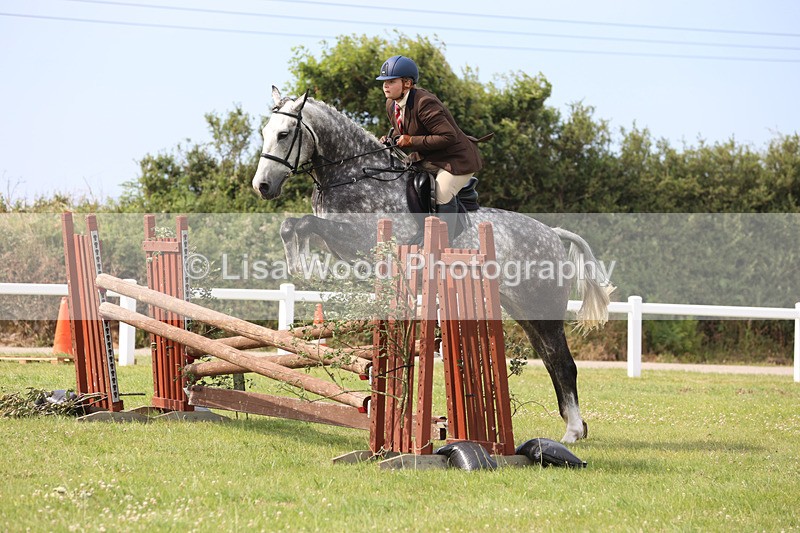 JPP_4004 - Class 24: Working Hunter 90cm