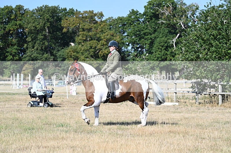 WJ7_3258 - Class 8 Ridden Tack & Turnout