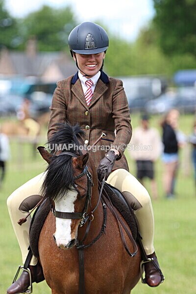 IMG_2868 - Working Hunter