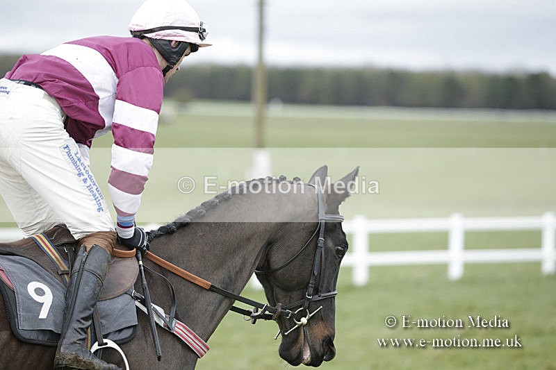 PtP 150320 0557 - New Forest Point-to-Point Larkhill 15/03/20