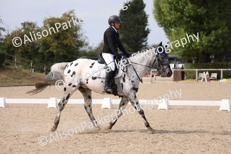 20250819-1573 - Class 5 - Novice 3