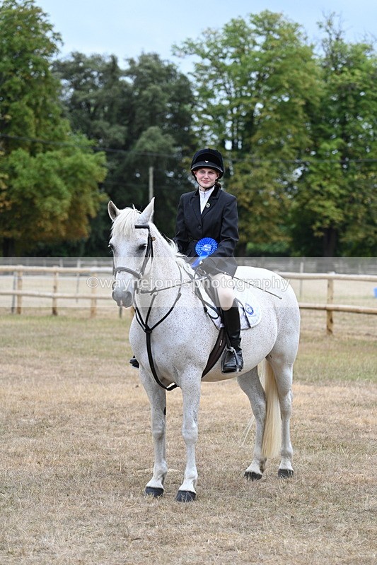 WJ7_1001 - Class 7 Riding Club Show Horse