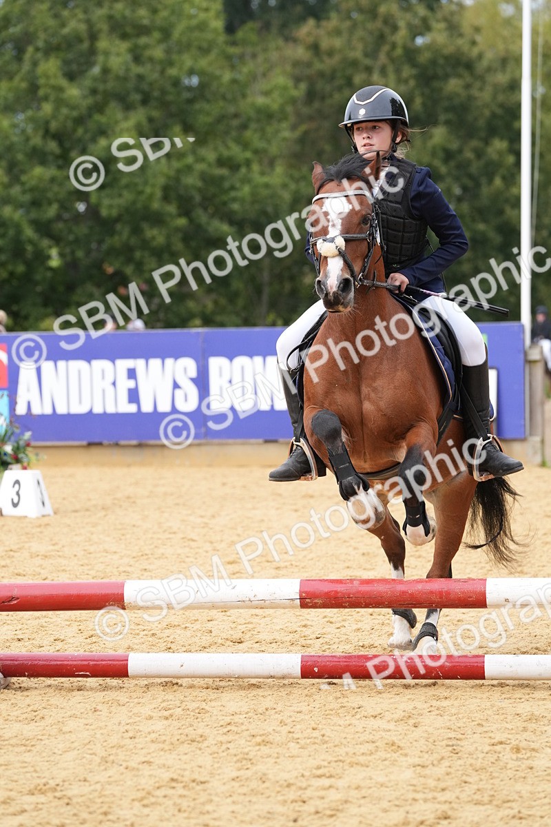 SBM_70669 - J3 - Mini Tour Junior Pony 40cm Championship