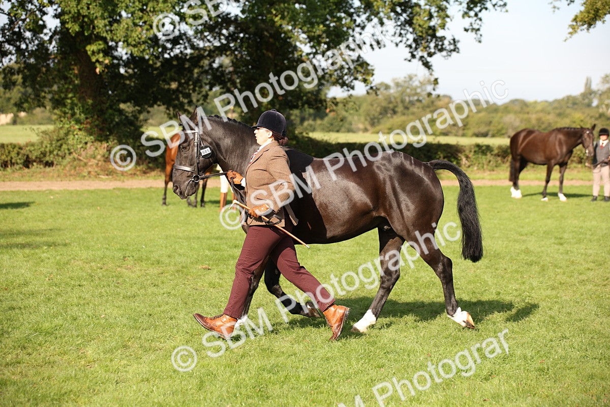 SBM_60110 - S53 - Hunter In Hand
