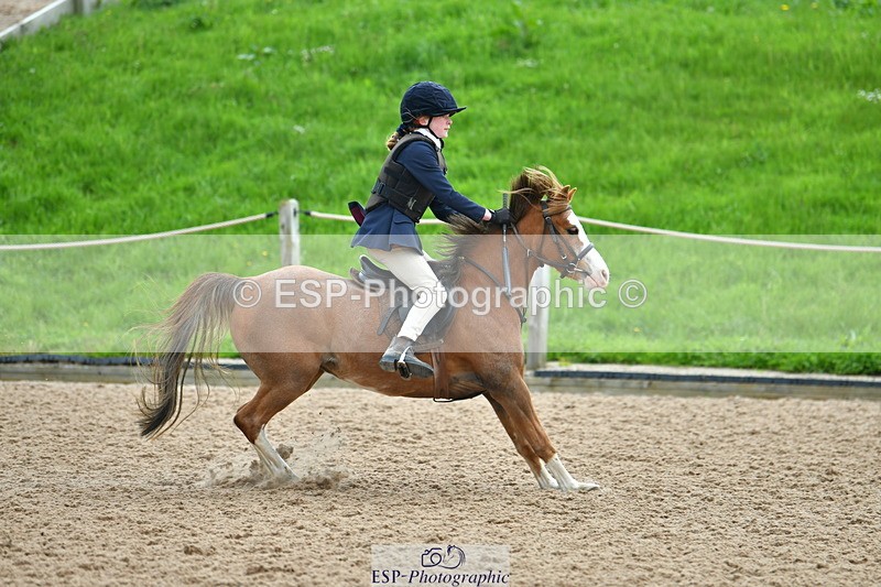 230513A-100659-00279 - Cls 12 Cats & Pipes Champ Quali