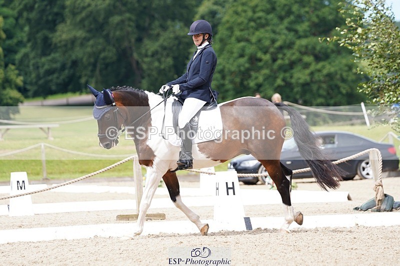 240721-113210-07824 - 124-Sophie_Savage-Two_Tone_Ted