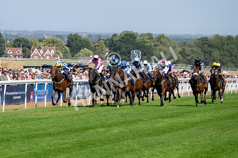 120826-Race 3-Sir David-6085 - Race 3 15.15pm Clearanswer Call Centres Handicap