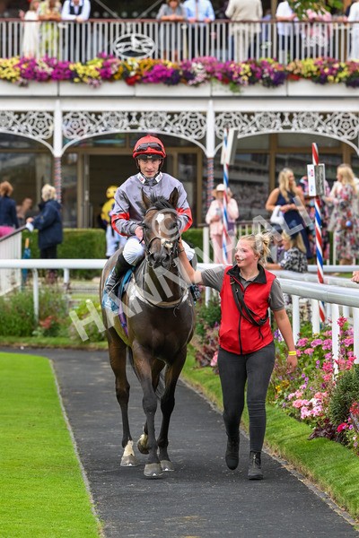 270724-Race 5-Theme Park-7460 - Race 5 4.35pm Sky Bet Prize Drop Handicap
