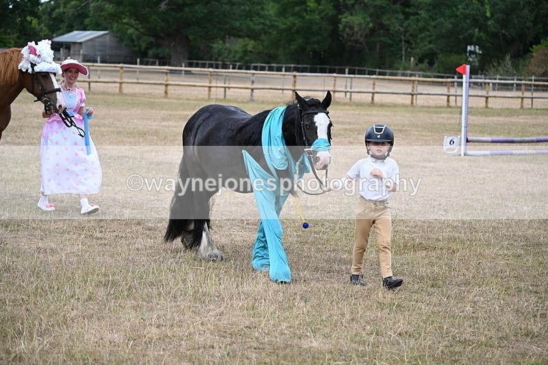 WJ6_8688 - Class 11 Fancy Dress