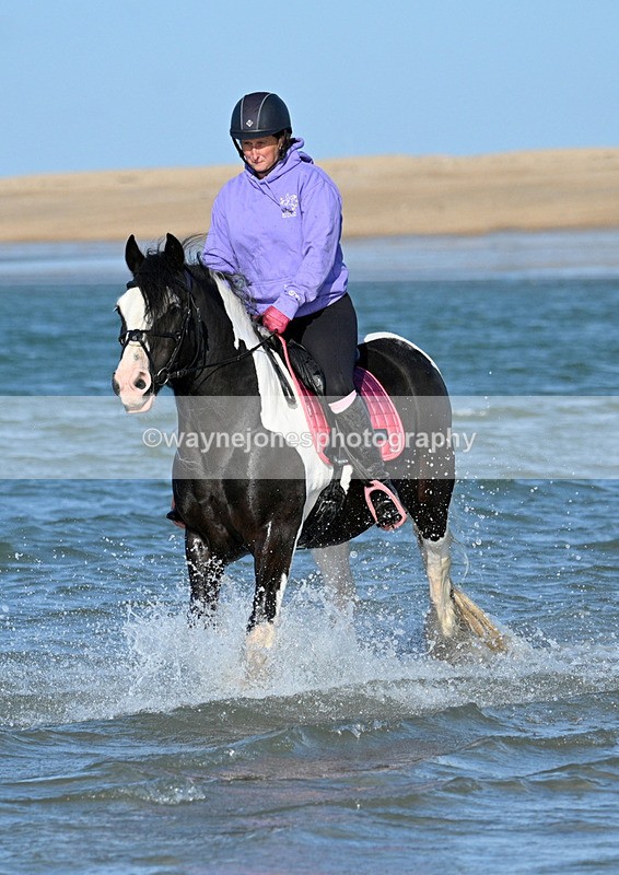 WJ7_2935 - Kellie & Churchill ... do Hayling Island 25-08-24
