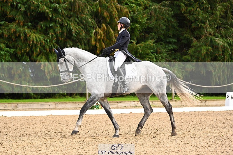 231021-135140-18579 - 248-KINGS.LANE-Liberty.Smith-DR