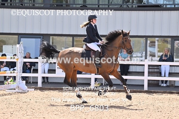BPP_6803 - CLASS 13 FRI HOYS Talent Seeker Qualifier Inc 7 Year Old Horse Championship Qualifier
