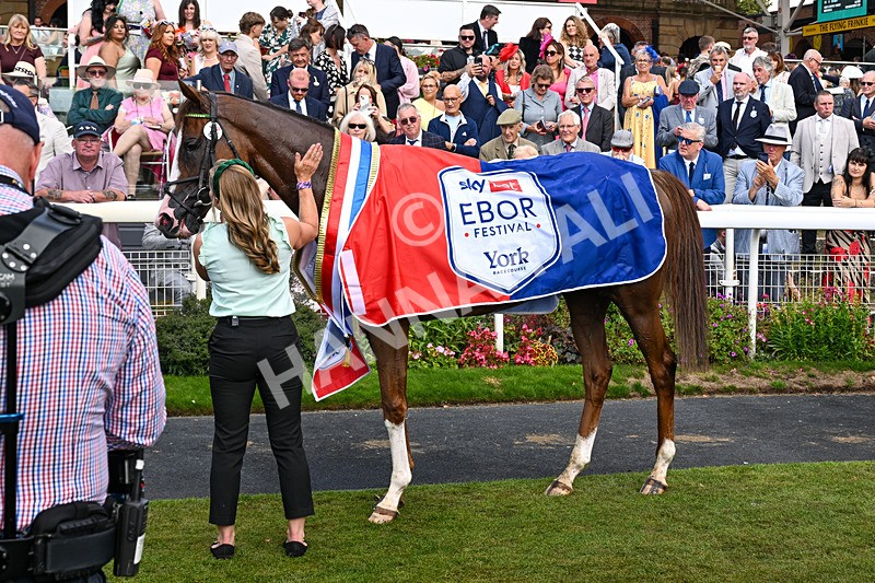 220826-Race 4-Daiquiri Bay-4418 - Race 4 15.35pm Sky Bet Ebor Handicap