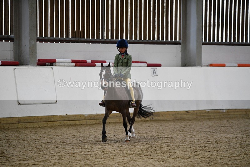 WJ5_6863 - Class 10 Childs Pony