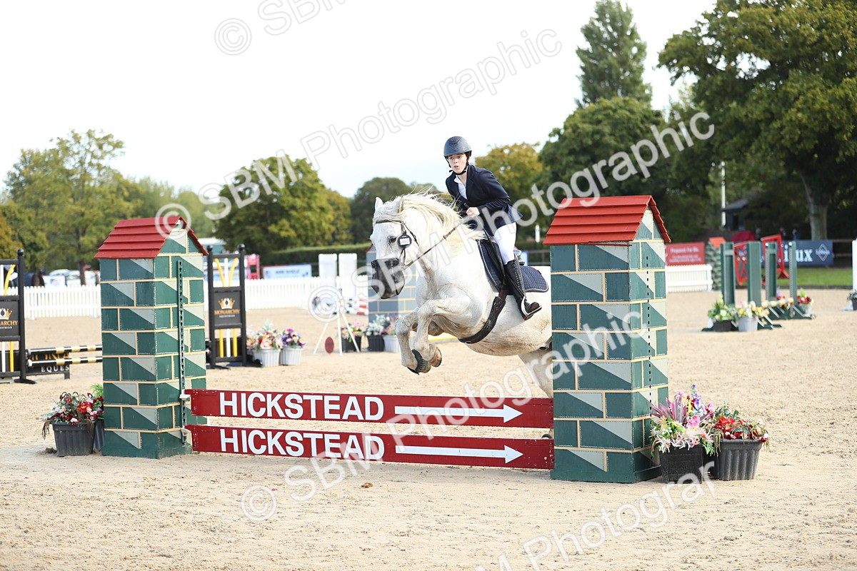 SBM_37296 - J20 - Junior Horse 50cm Championship