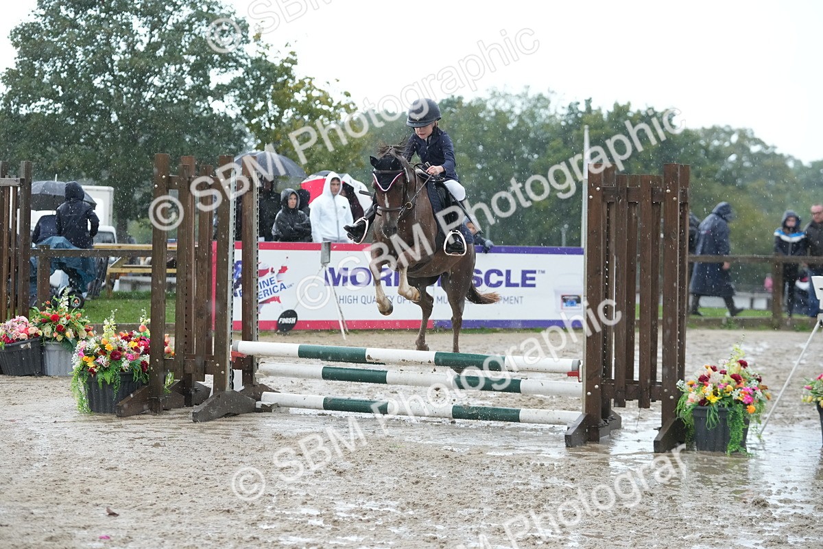 SBM_36228 - J5 - Junior Pony 50cm Championship