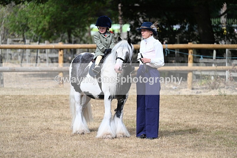 WJ7_6490 - Class 1 Lead Rein Pony
