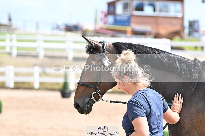 240717A-144650-02289 - Trot Up 2pm to 3pm - This folder is not in time order