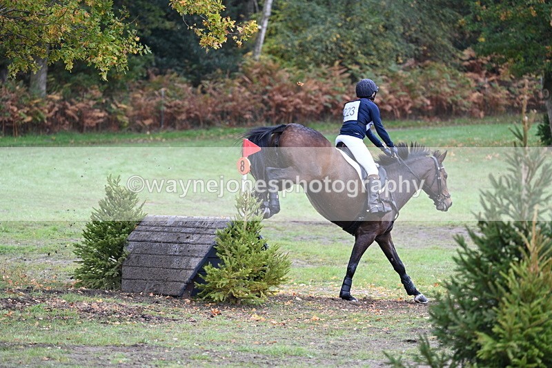 WJ7_4382 - Time 11:49 to 12:11