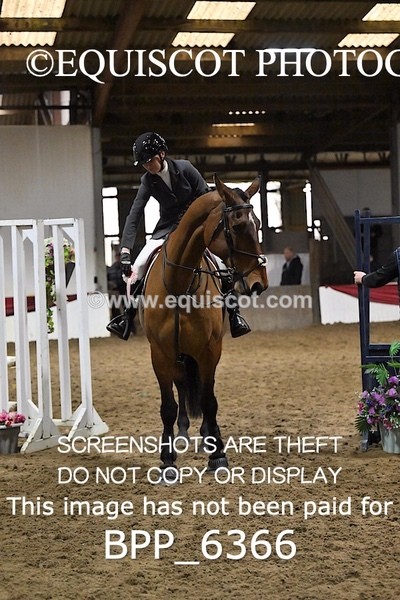 BPP_6366 - CLASS 2  Club/ Unaffiliated 80cms Open