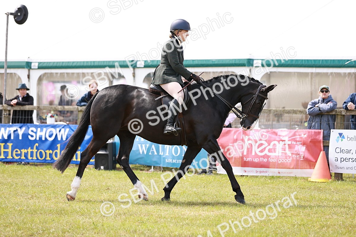 SBM_14502 - Class 88-89 - LIHS BSHA Rising Star of Ridden Hunter Type