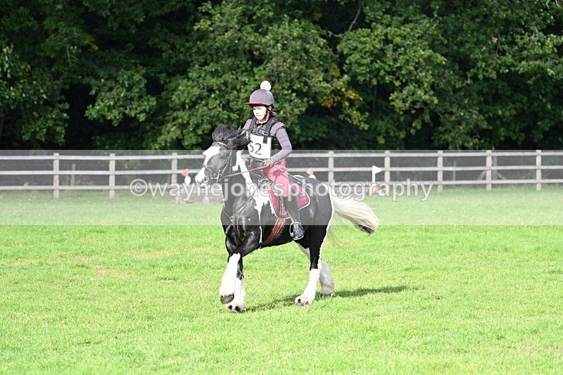 WJ7_3690 - 40cm Time 10:26 to 10:42