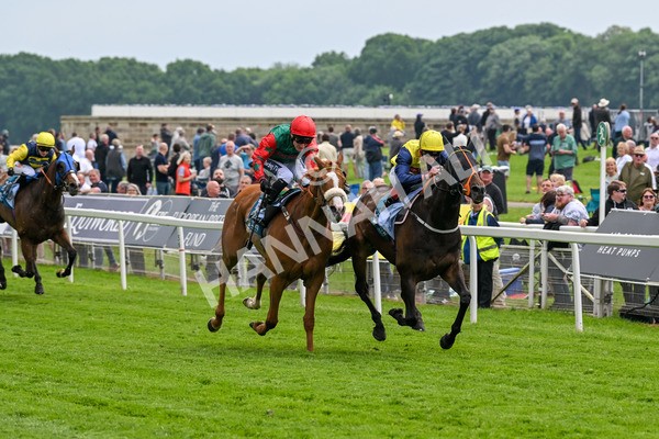 160524-Race 2-Point Lynas-5421 - Race 2 2.45pm Oakmere Homes Hambleton Handicap