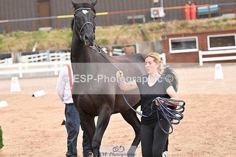 250716-151153-01751 - Trot Up 2.30 to 3.30