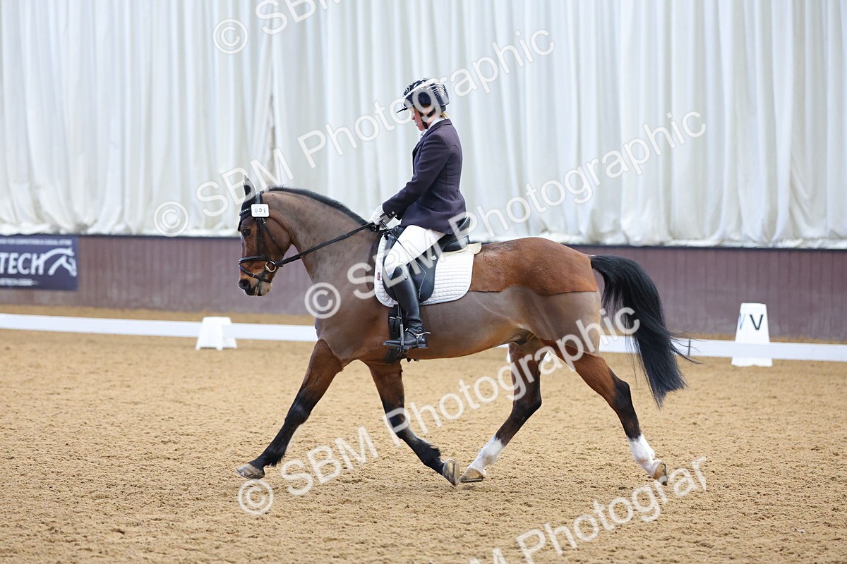 1I0A8743 - Class 4 - Novice 4