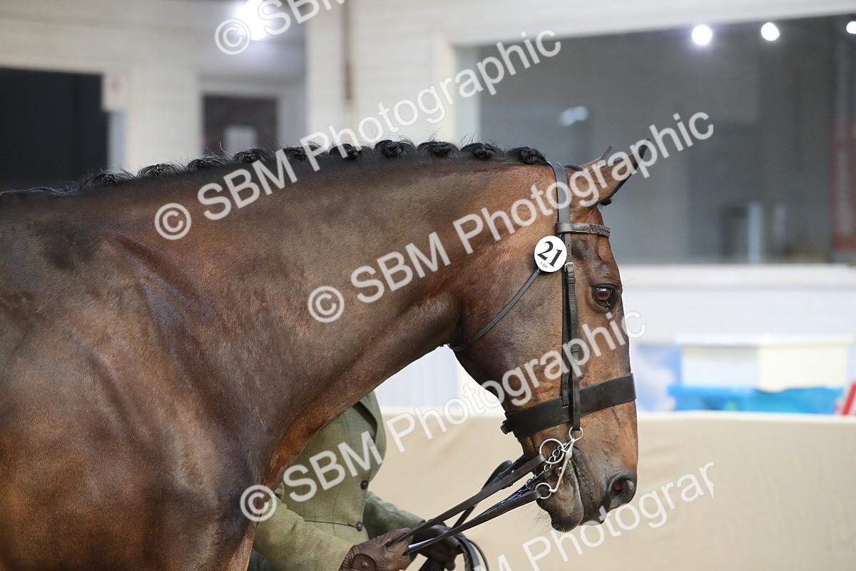 SBM_00510 - class 2a Area IH Veteran