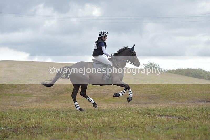 NGP_2317 - XC Time 11:20 to 11:36