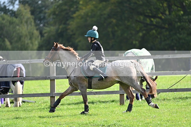 WJ7_5000 - 60cm Time 11:11 to 11:19