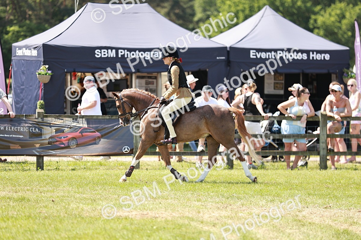SBM_15649 - Class 108-109 - BSPS LIHS Open Gradle & Nursery Stakes