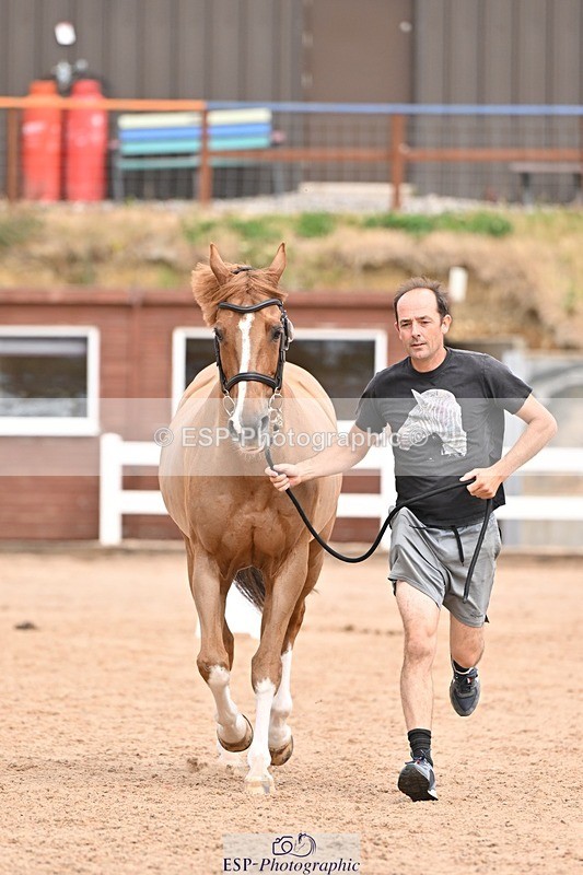 250716-153933-02087 - Trot Up 3.30 to 4.30