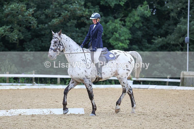 3E7A4948 - Class 1: Intro 4 2024 section A