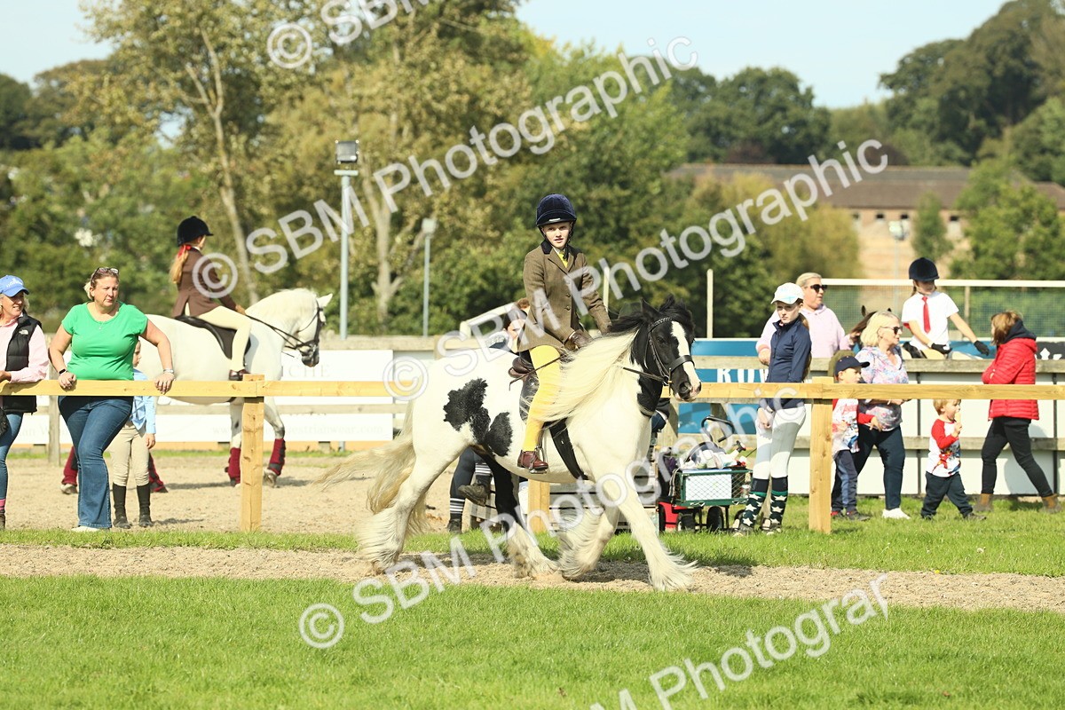SBM_68907 - S58 - Mini Show Cob Ridden