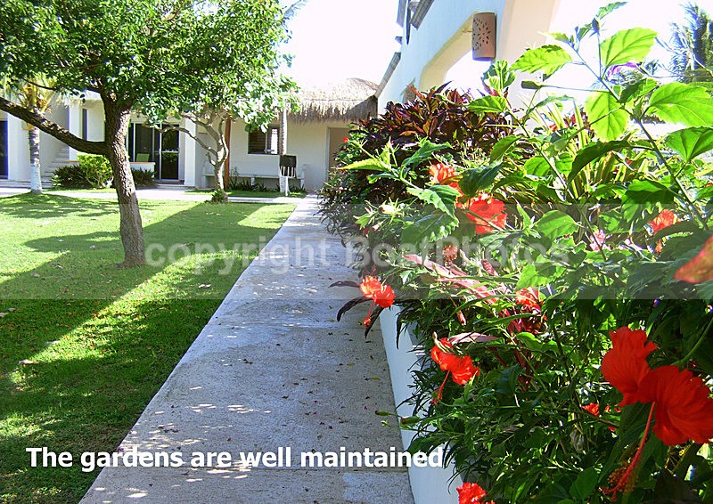 Paraiso Garden PICT0003 - MEXICO 2013-2014