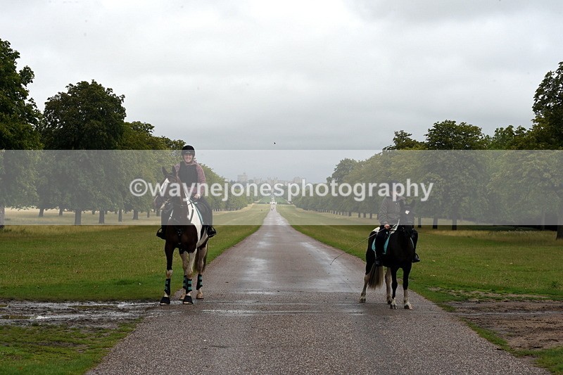 TT3_8269 - Time at Crossing 10:16 to 11:38