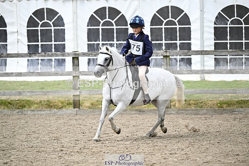 240822X-150845-11557 - 40cm A R2 15.00 to 16.16