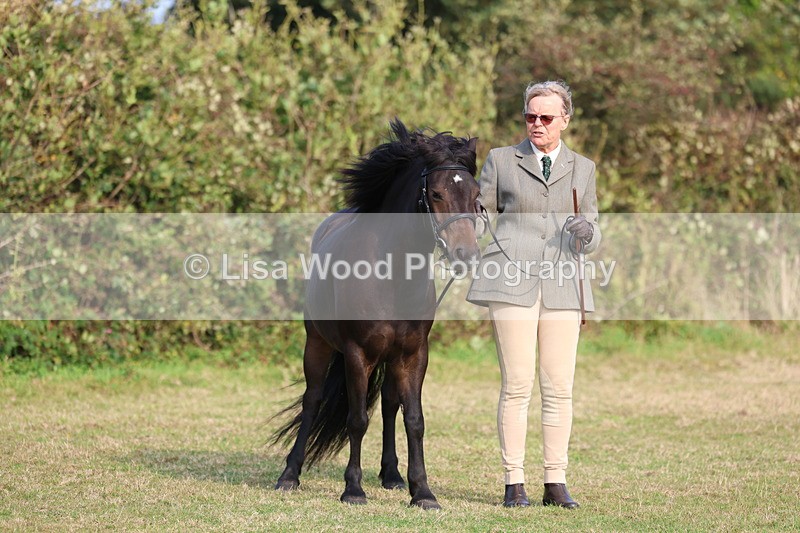 3E7A3234 - Class 12: M & M Small Breeds