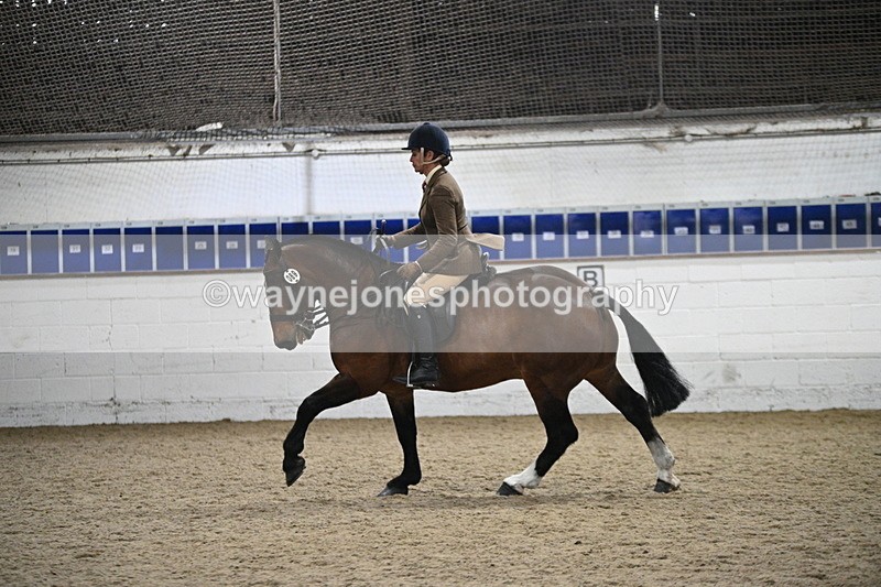 WJ7_4006 - Class 17 Ridden Cob