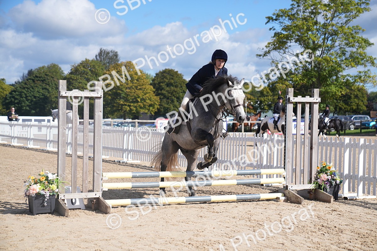 SBM_02515 - J54 Clear Round 45cm