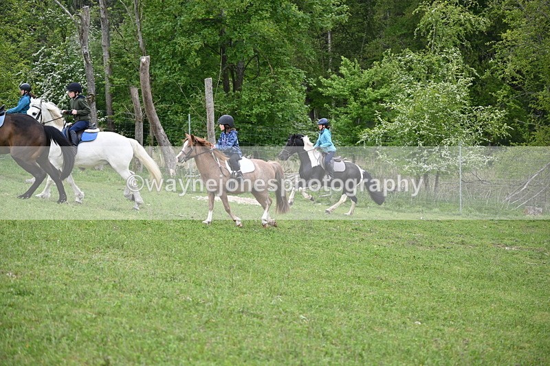 WJ6_3049 - A Camera