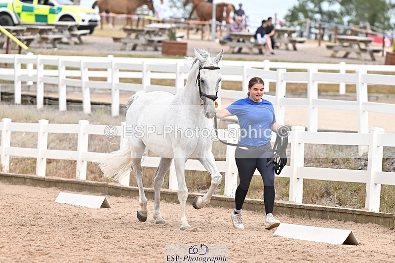 250716-161944-02564 - Trot Up 3.30 to 4.30