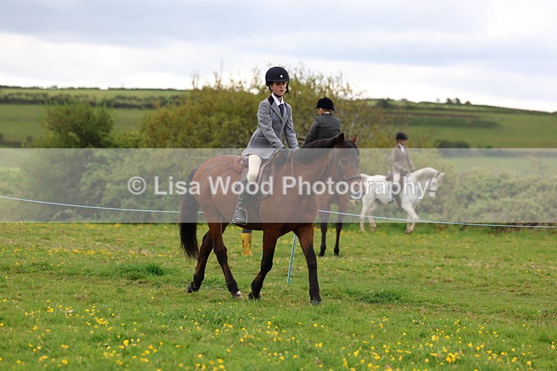 3E7A1540 - Class 8: Ridden Veteran Junoir and Senior