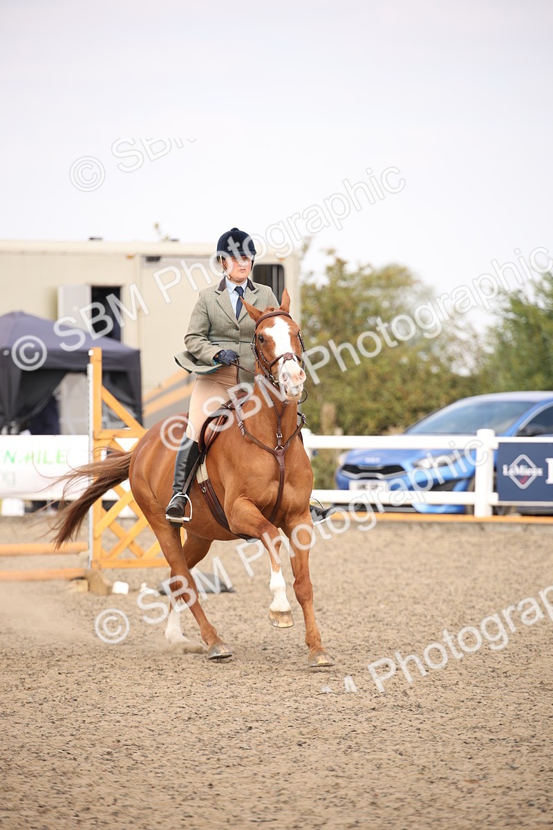 SBM_13581 - Class 406b - Working Veteran 50cm (20+)