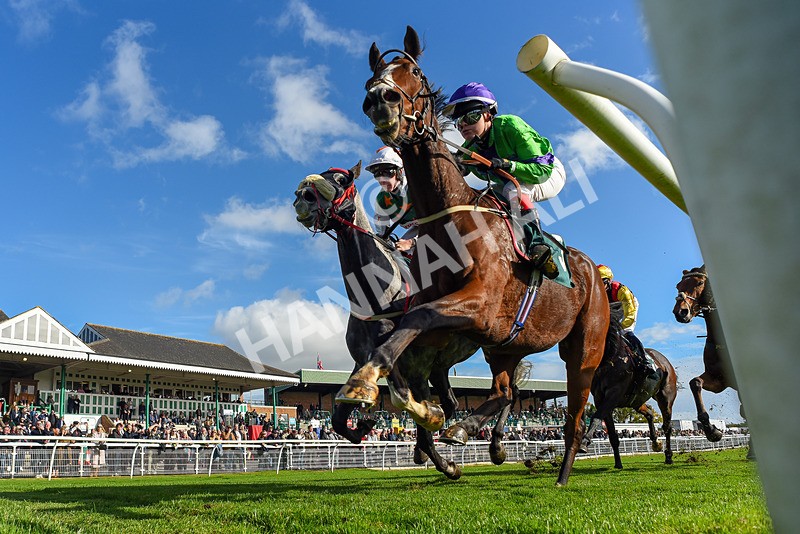 191024-Race 2-Morandi Second-2112 - Race 2