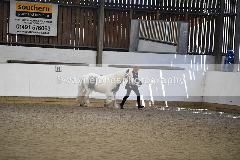 WJ5_5270 - Class 8 In hand cob