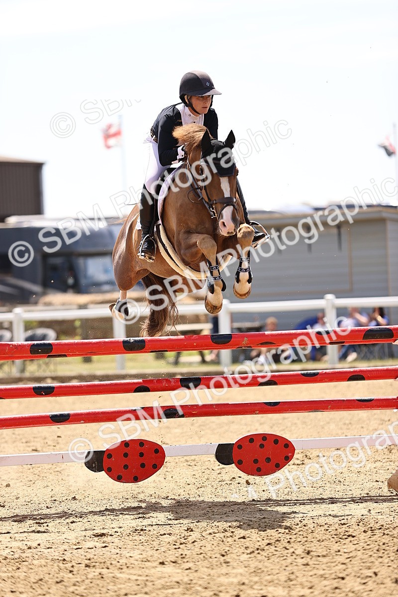 SBM_010288 - Class 9 - Senior Foxhunter - 1.20m Open
